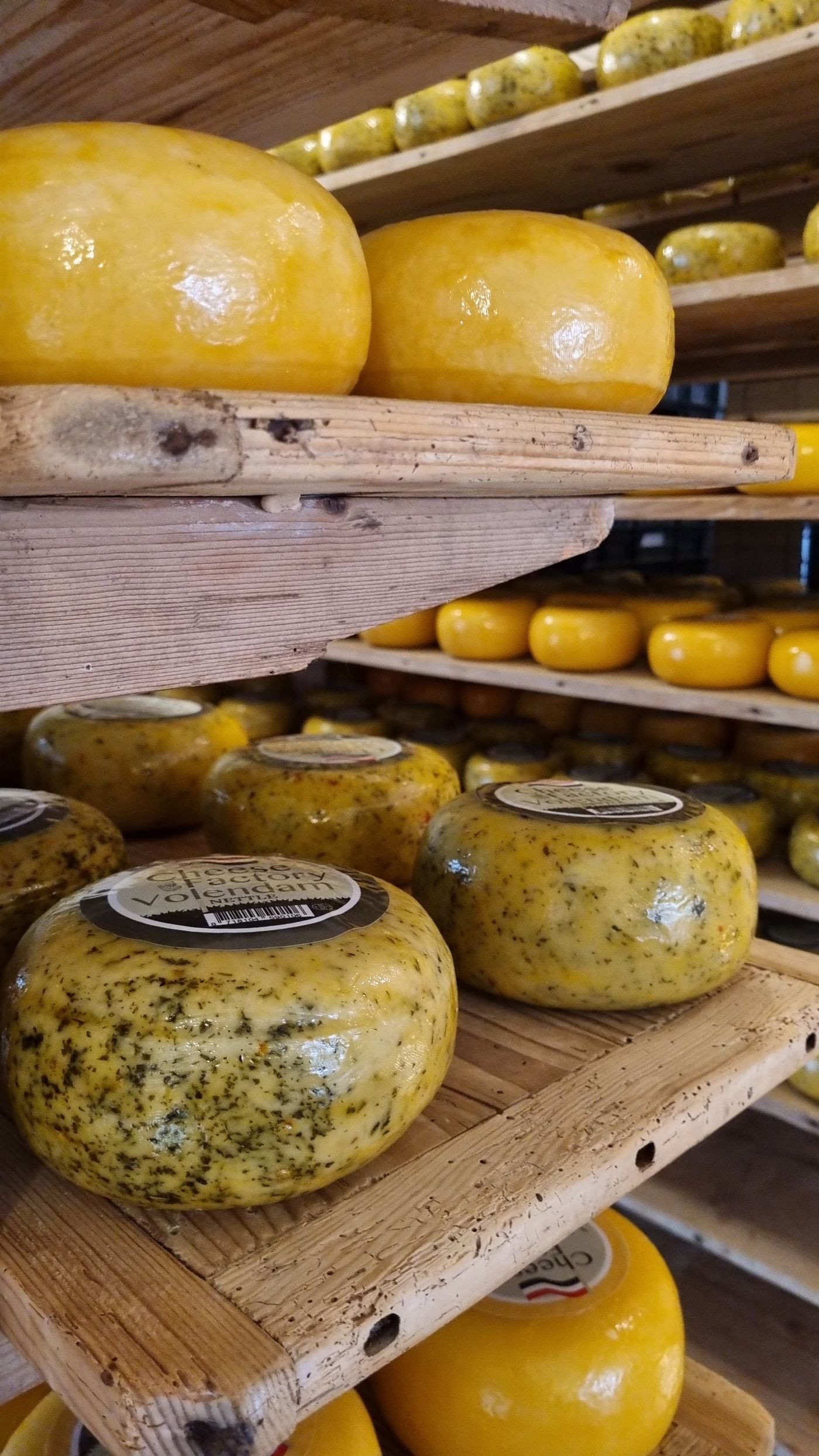 Cheese wheels aging on wooden racks