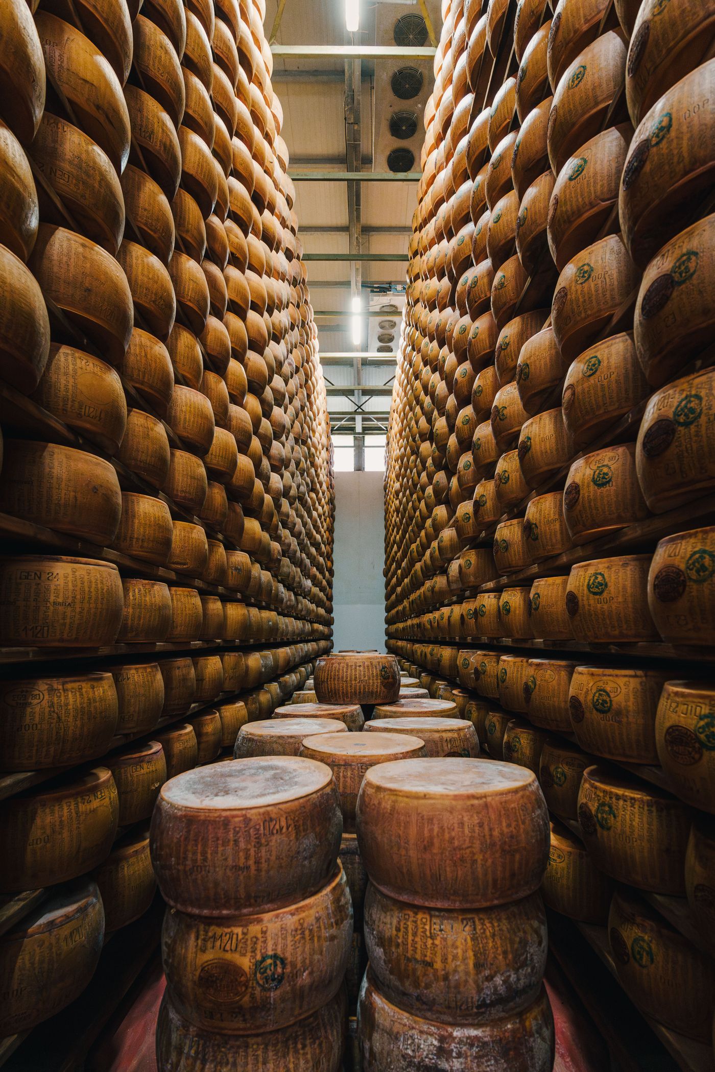 Parmigiano Reggiano wheels aging in an Emilia warehouse