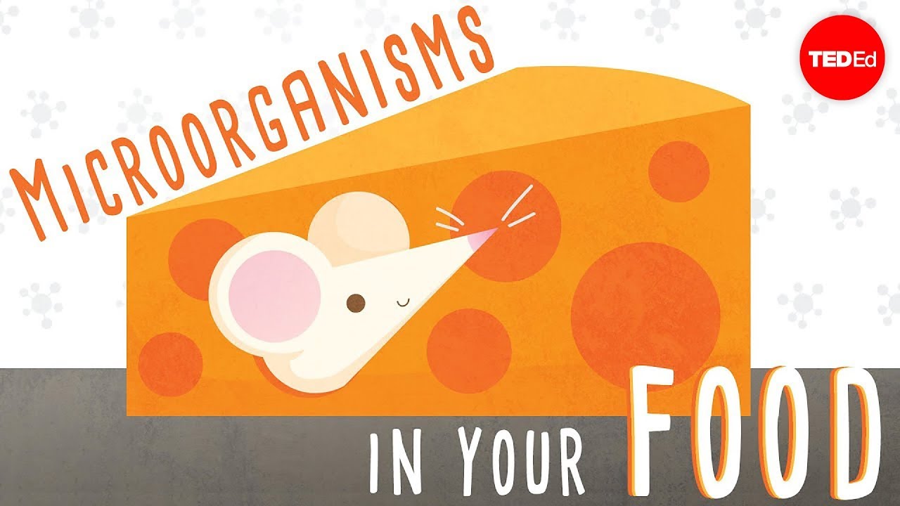 Your kitchen is a lab